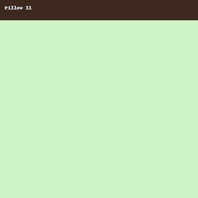 Pillow 11